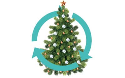 Ramassage des sapins de Noël 2026