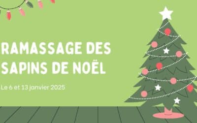 Ramassage des sapins de Noël 2025